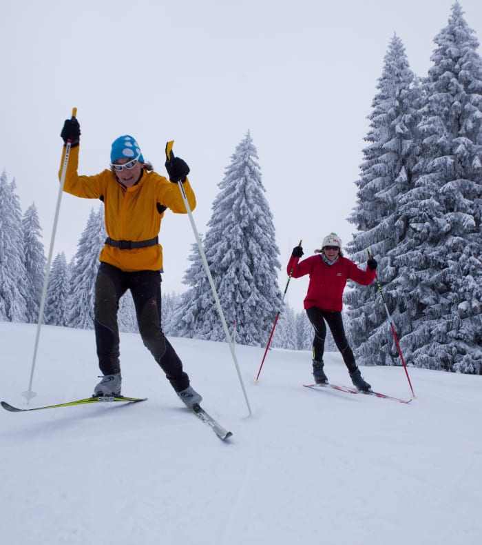 Biathlon / Skating perfectionnement — billede 3