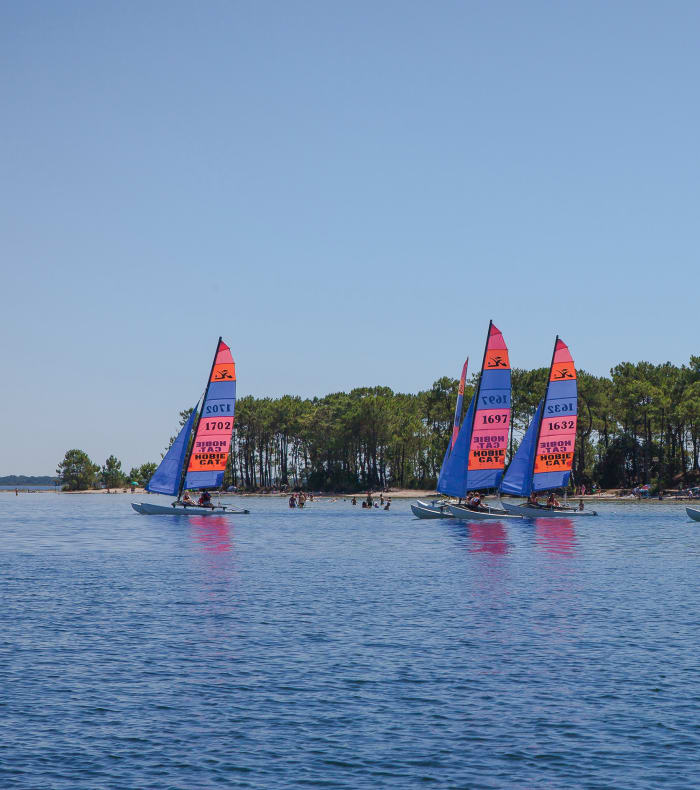 Voiliers colorés avec voiles roses et bleues naviguant sur le lac de Bombannes entouré de forêts de pins