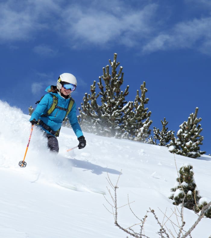 Freerando ski — billede 3
