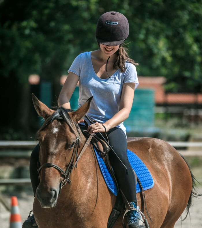 Weekend Ridning specielt for begyndere - Uden overnatning — billede 2