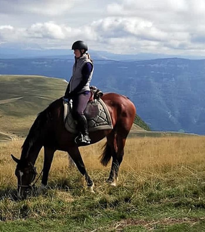 Vercors til hest — billede 2