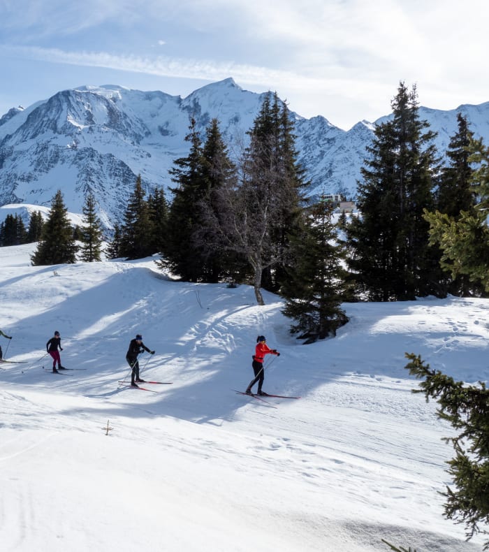 Skating & Biathlon — billede 2