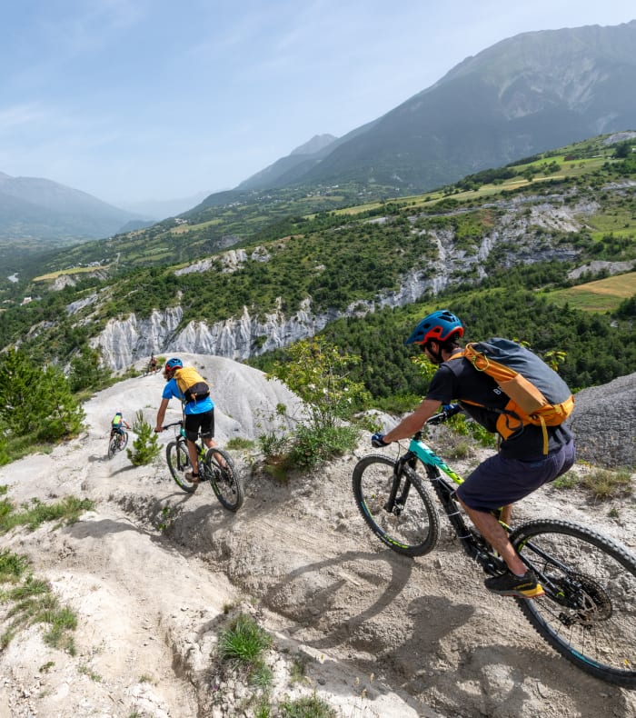 Groupe de cyclistes en randonnée sur chemin de campagne bordé de coquelicots rouges et verdure