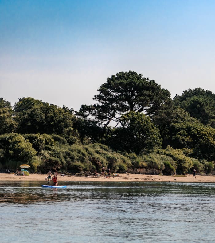 Rivière Odet à Bénodet avec paddleboard et voiliers, entouré de végétation côtière verdoyante