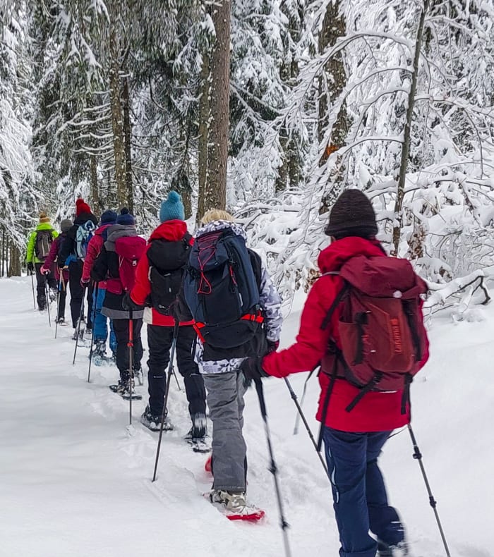 Groupe de randonneurs en raquettes dans une forêt enneigée des Pyrénées avec sapins couverts de neige