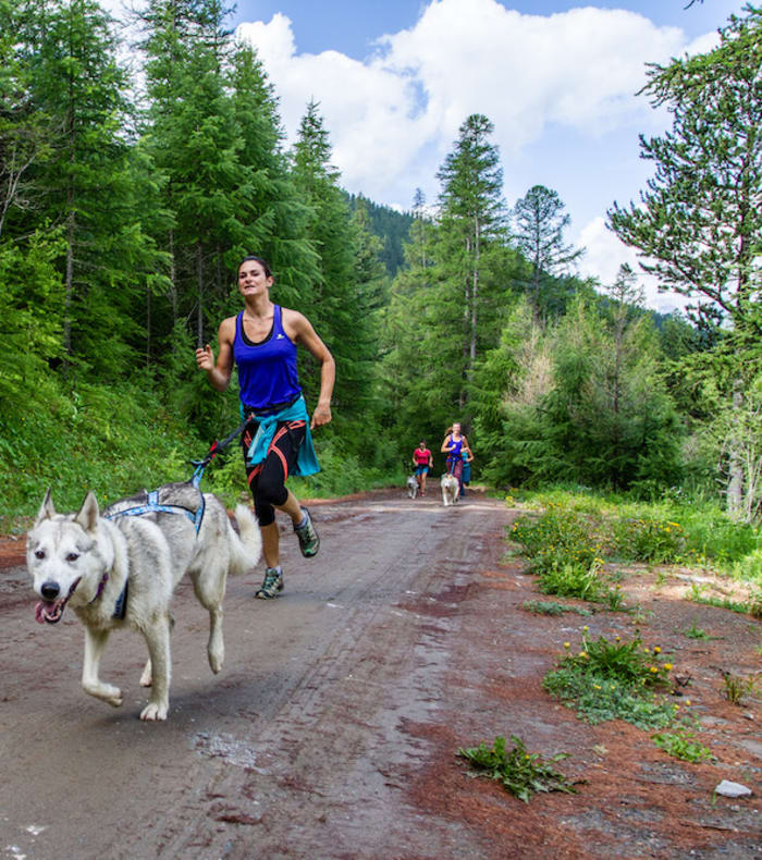 Groupe de randonneurs en montagne dans le Queyras sous un soleil éclatant, paysage alpin avec vallée et pics enneigés