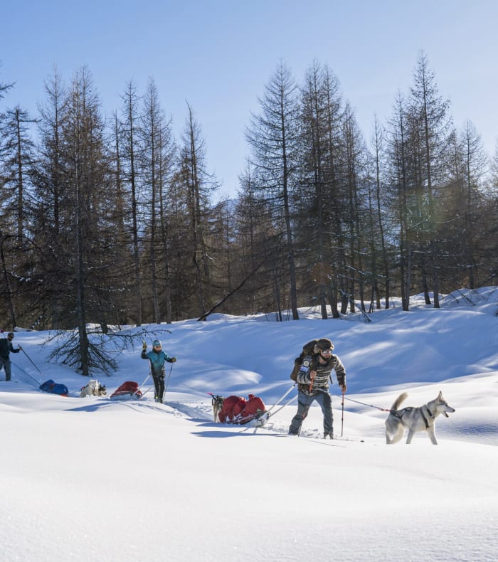 Mushers et chiens de traîneau en itinérance dans les Écrins enneigés avec pulka et mélèzes en arrière-plan