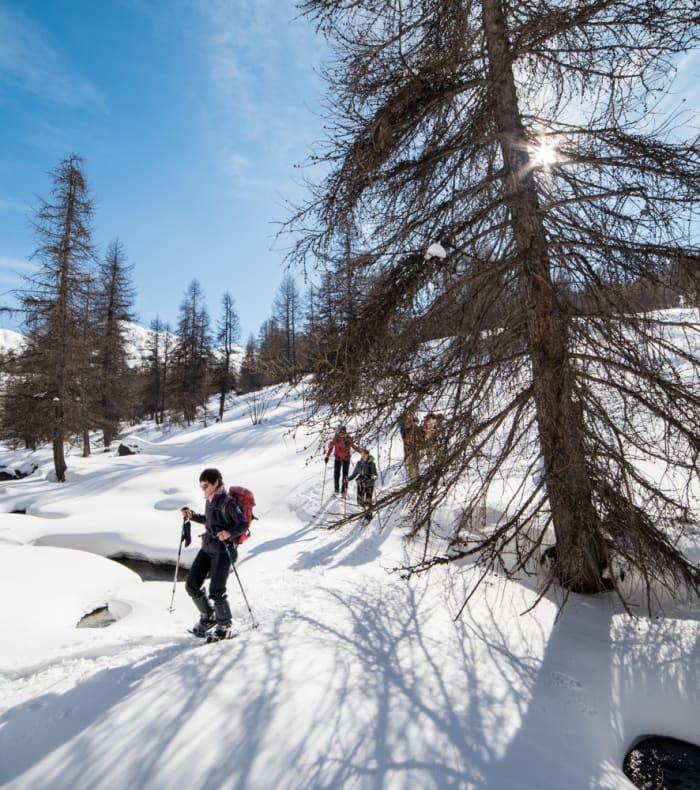 Randonnée en raquettes dans la vallée de l'Ubaye avec vue sur les sommets enneigés des Alpes du Sud