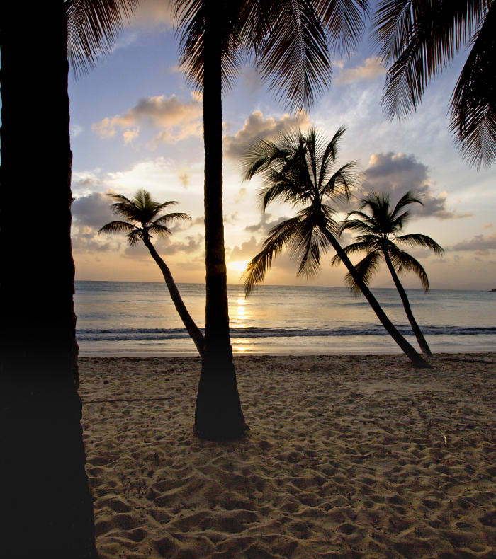 Pakke Godt Tilbud Martinique 8 dage — billede 3