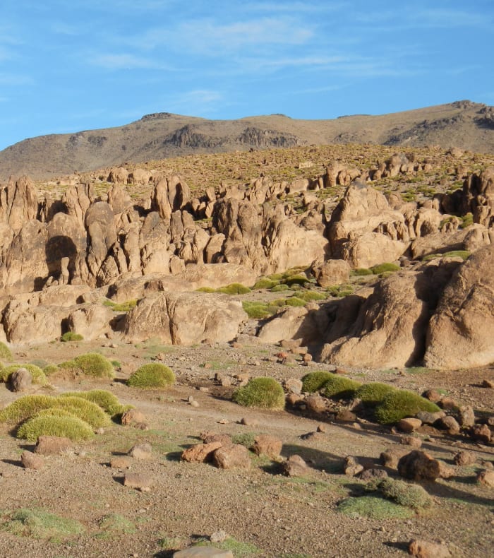 Paysage désertique du Sahara marocain avec formations rocheuses et végétation clairsemée pour traversée VTT