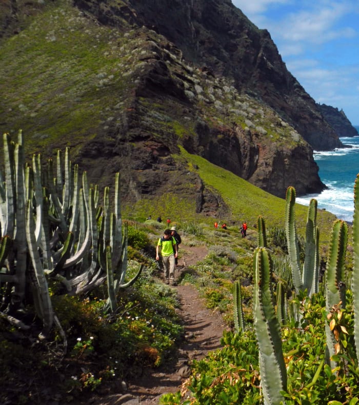 Teide Nationalpark, Spaniens tag — billede 2