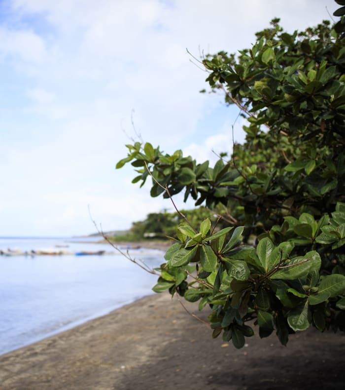 Rando découverte Martinique 8 jours — billede 3