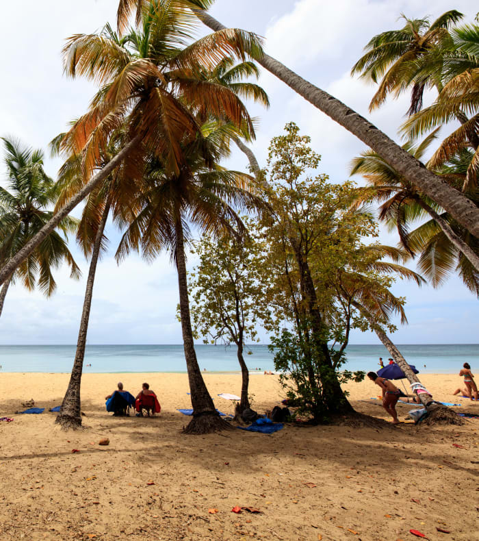 Surf & Wingfoil en 8 jours — billede 3