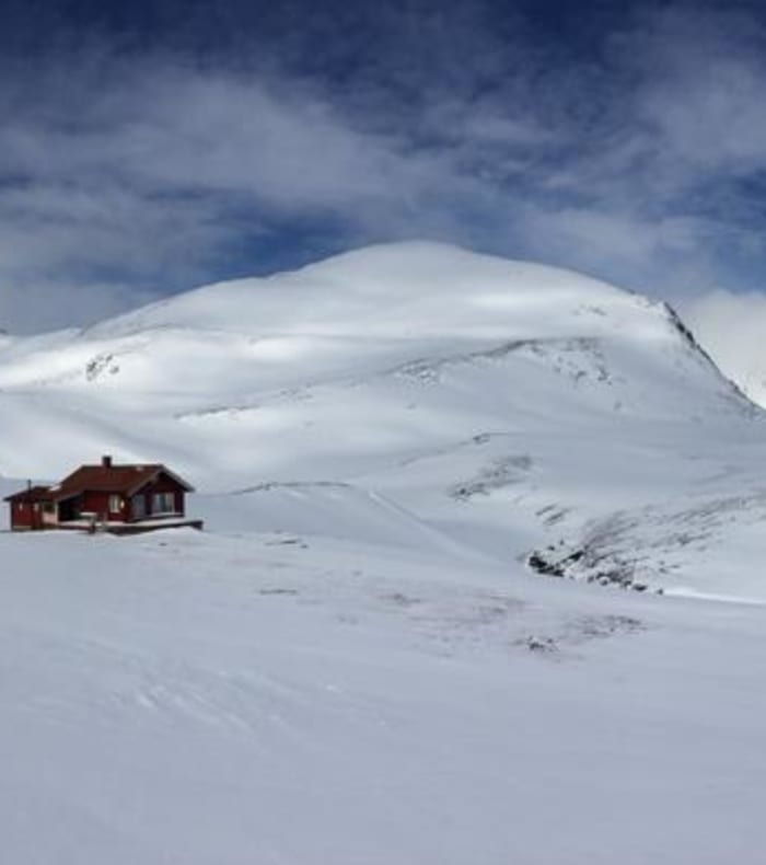 Paysage arctique enneigé avec lac gelé, montagnes majestueuses et forêts de mélèzes en Laponie norvégienne