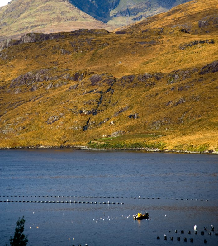 Vandring og cykling i Connemara — billede 3