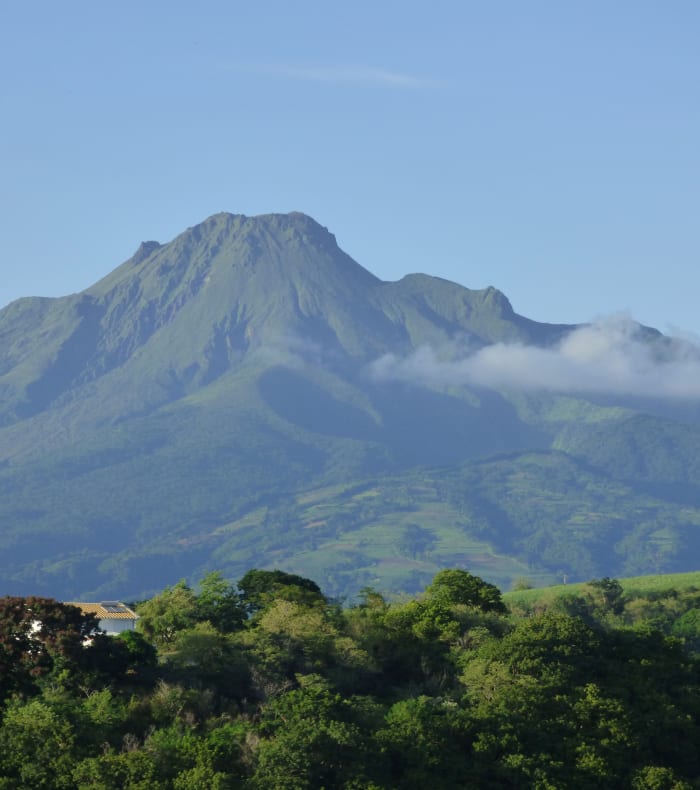 Plongée Spécial Débutant et plongée exploration Martinique en 14 jours — billede 3