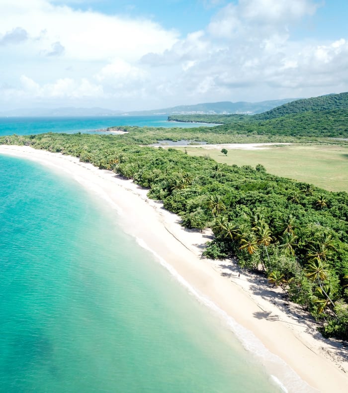 Découverte Sport & Culture Martinique 7 jours — billede 2