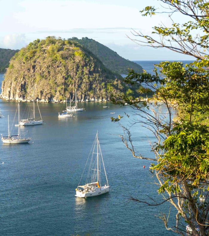 Pack bon plan les Saintes 7 jours — billede 2