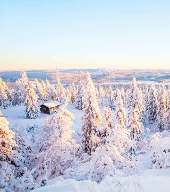 Paysage hivernal du parc national de Hossa en Finlande avec forêt boréale enneigée, lac gelé et aurore boréale au crépuscule