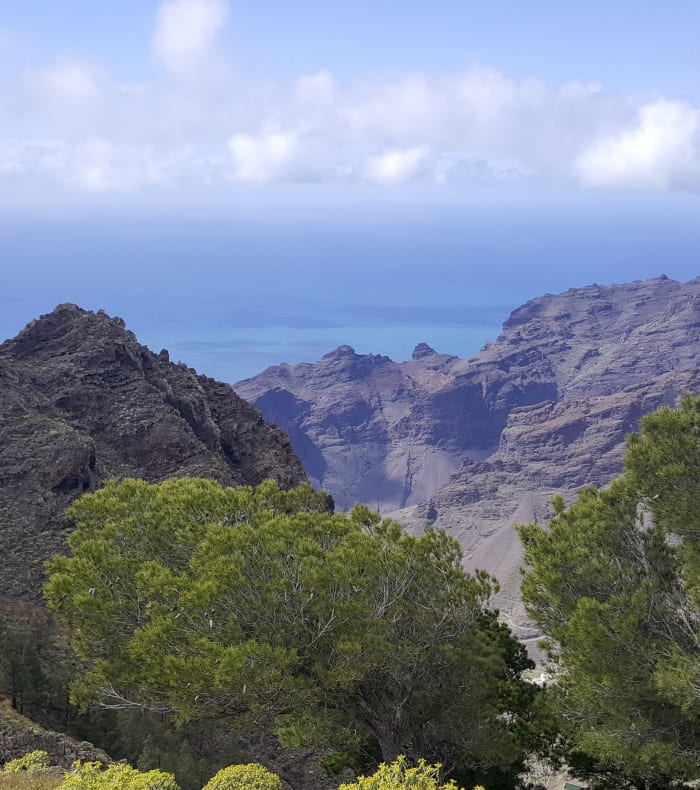 Vallée verdoyante du Parc Naturel du Teide avec palmiers, sentiers de randonnée et vue sur l'océan bleu de Tenerife