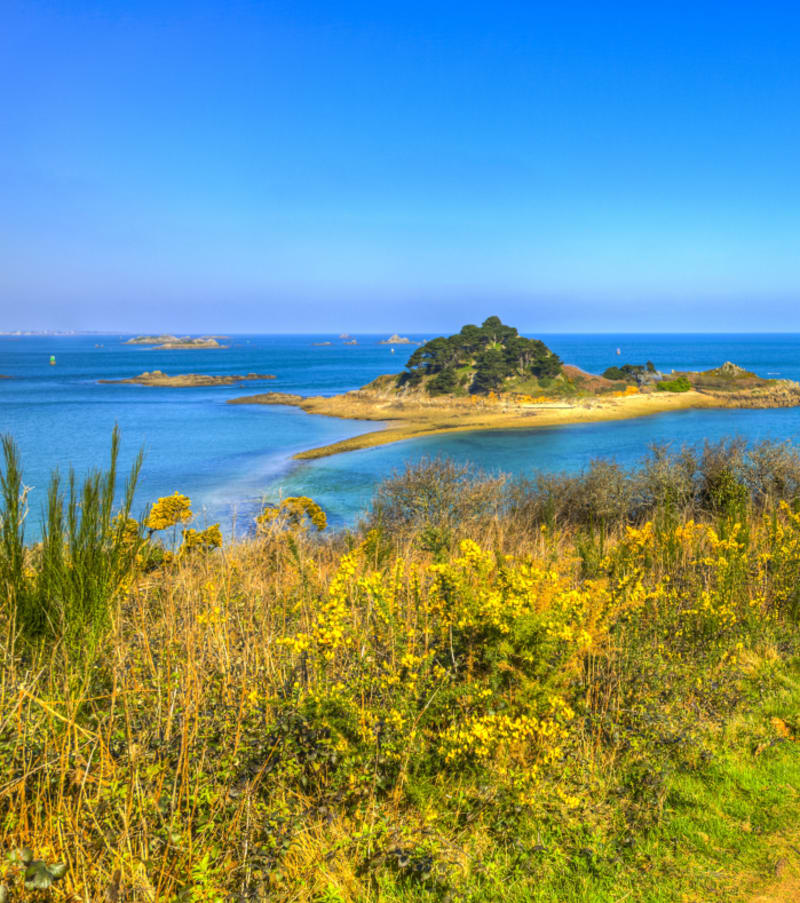 Sentier de randonnée côtier en Baie de Morlaix avec îlots rocheux, végétation sauvage et eaux turquoise