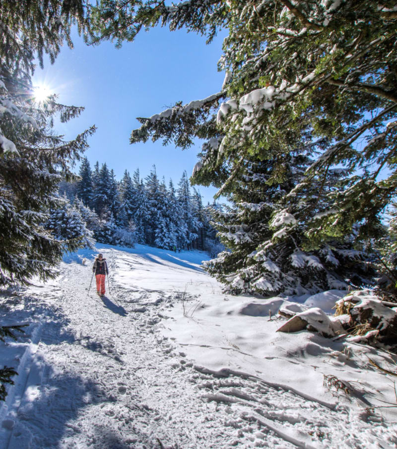 Randonnée hivernale en raquettes aux Vosges avec vue sur pentes enneigées et forêt de sapins sous ciel bleu