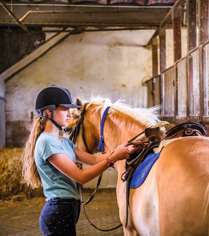 Compétition interne - Cheval CCE