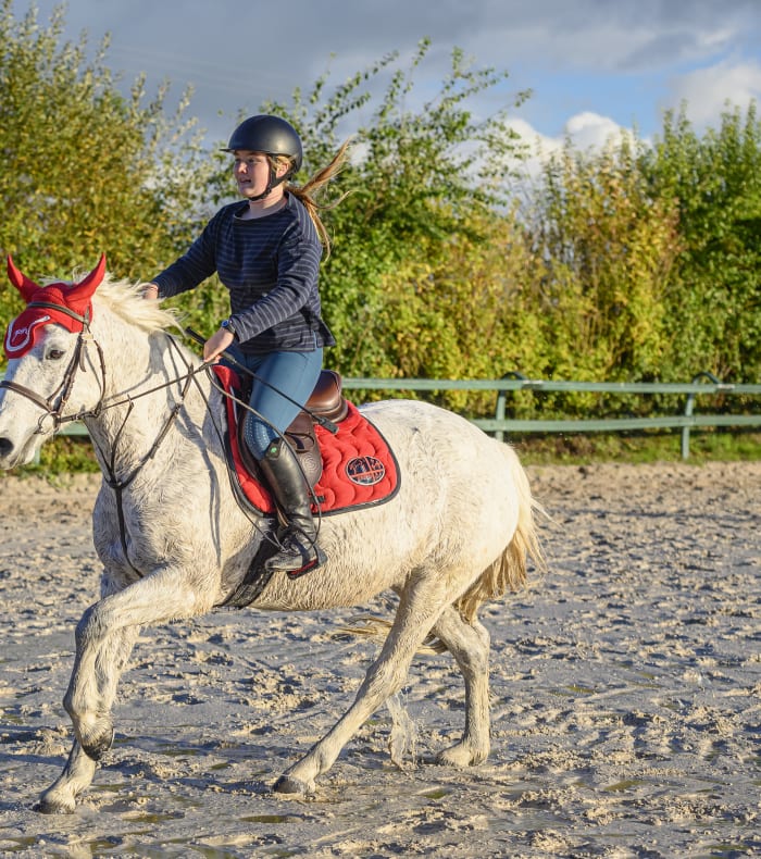 Engagement TAP Lamotte