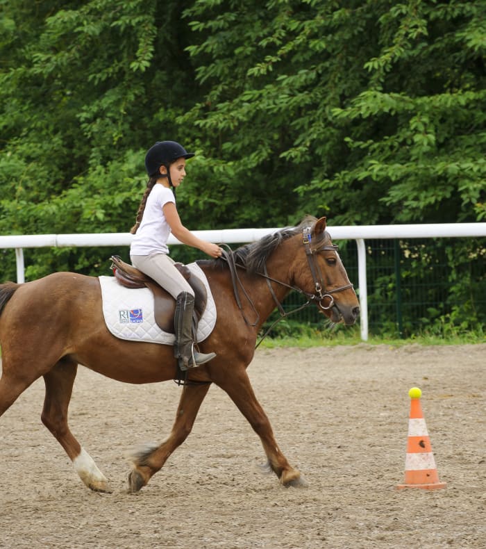 Challenge DRESSAGE double poney