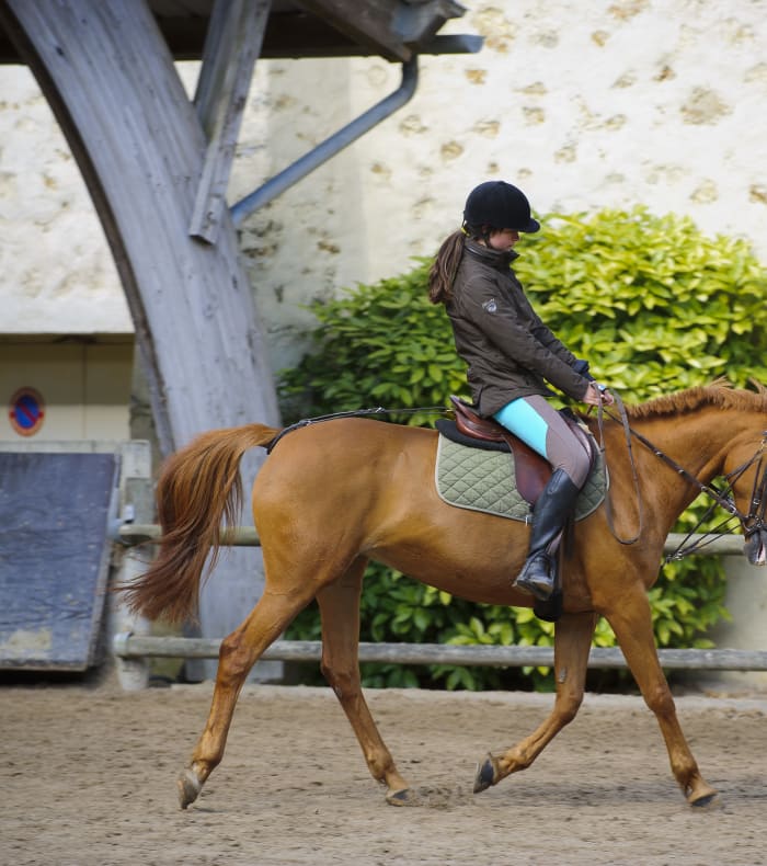 Abonnement annuel CCE - Cheval 2eme heure