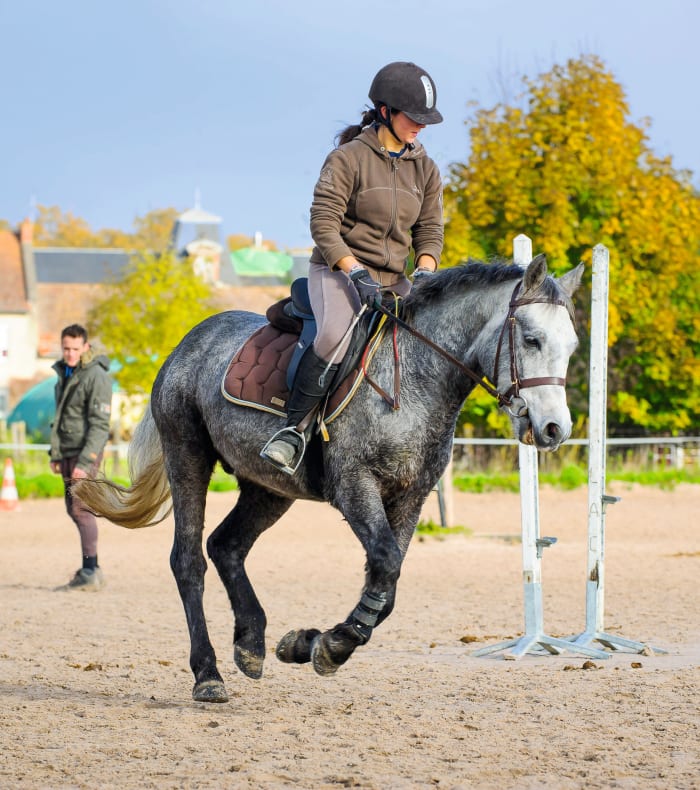 Abonnement Cheval Compétition - 2h