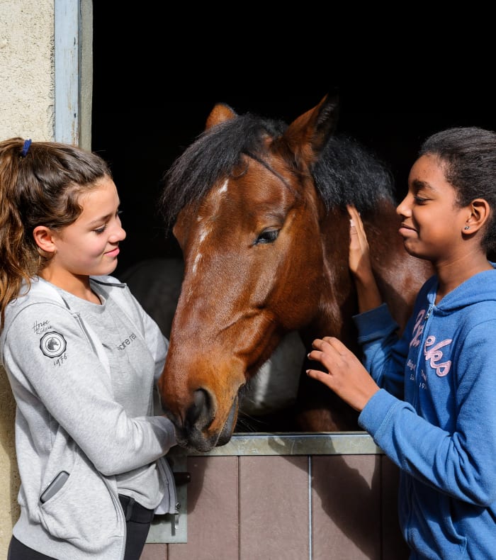 Abonnement Cheval - Découverte test changement de niveau