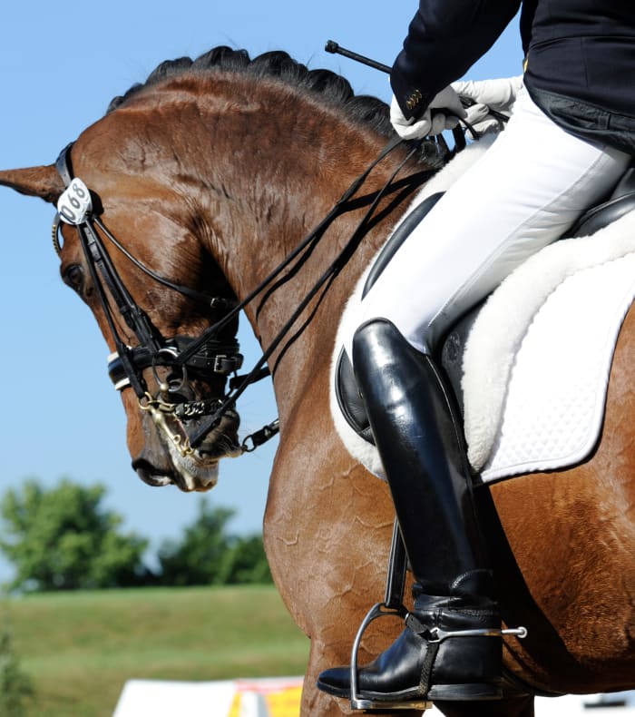 Abonnement Cheval - Hunter