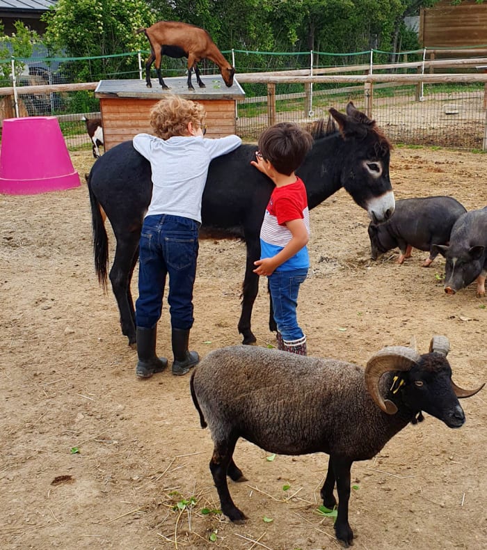 Les ateliers du petit fermier