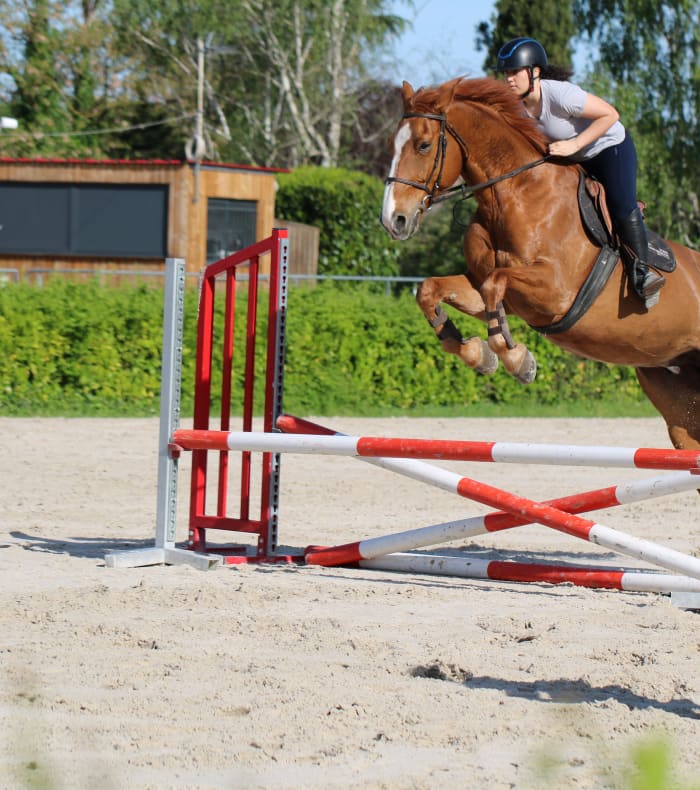 Cours Individuel Équitation