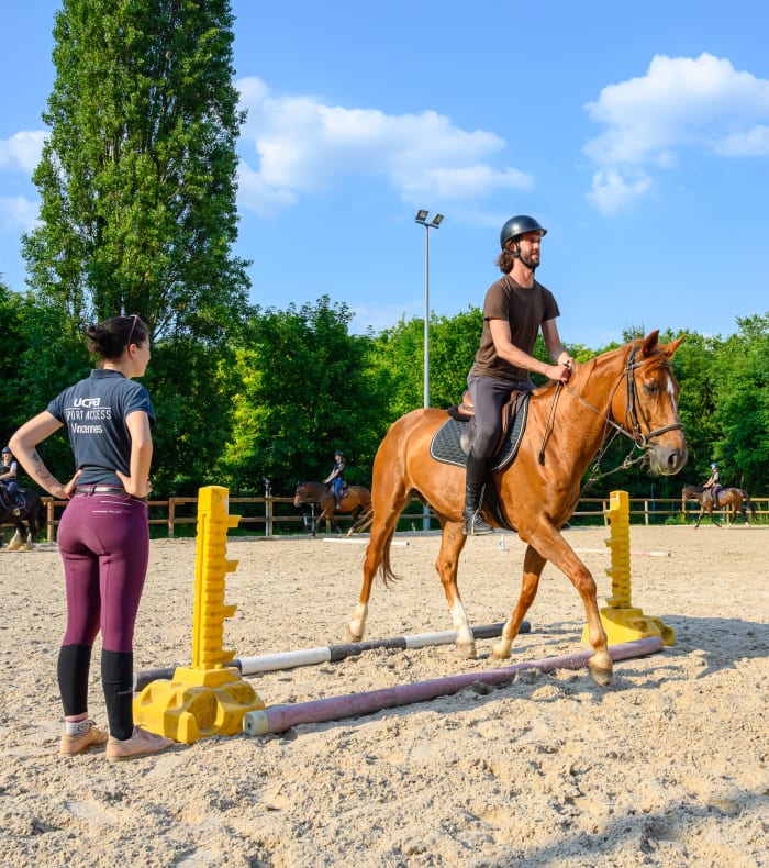 En musique : transitions et barres au sol - CHEVAL