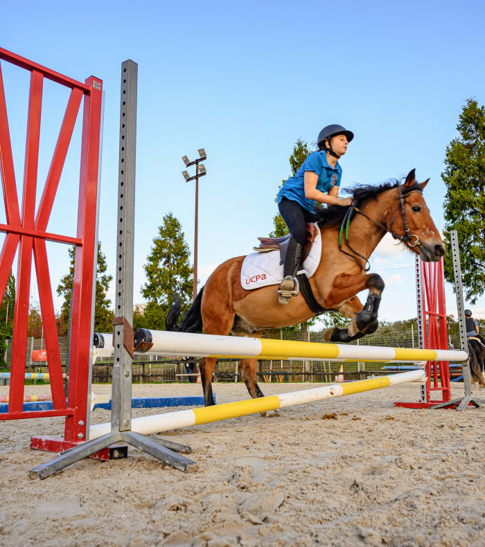 Mise en confiance à l'obstacle - PONEY