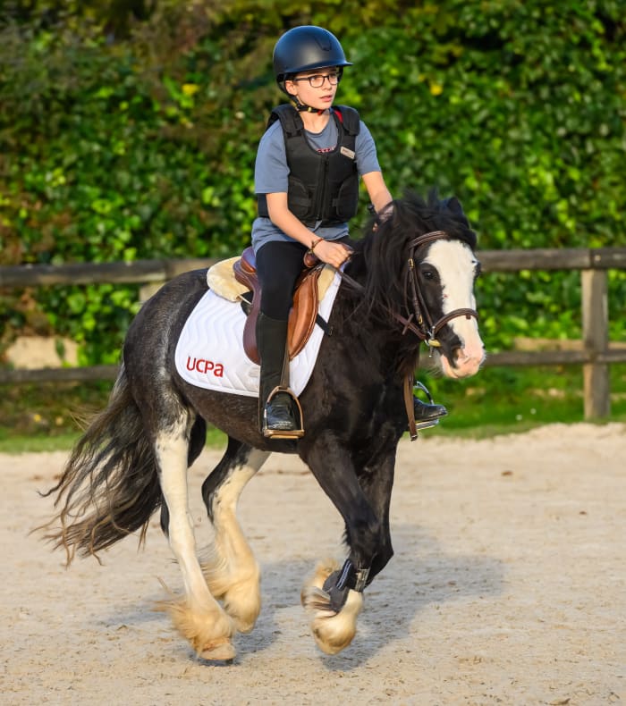 Stage 3 Jours - Poney Découverte