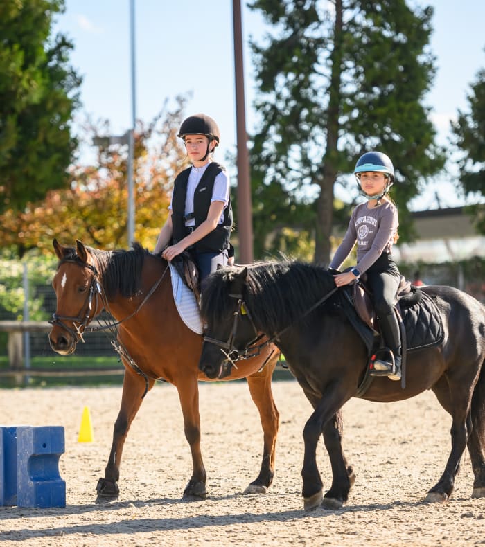 Stage parents/enfants - 1 journée