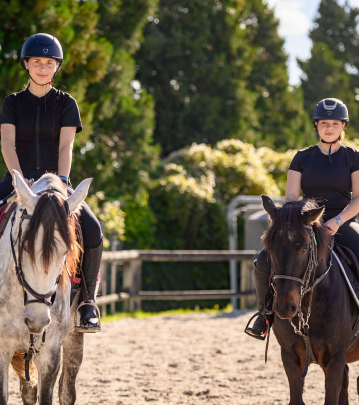 Challenge dressage double poney FINALE