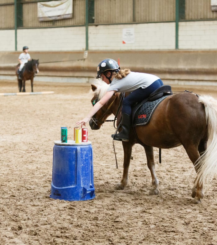 Animation Baby Poney