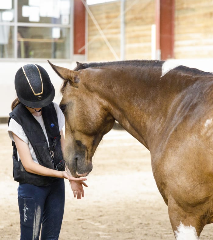 Stage 1J Cheval Propriétaire