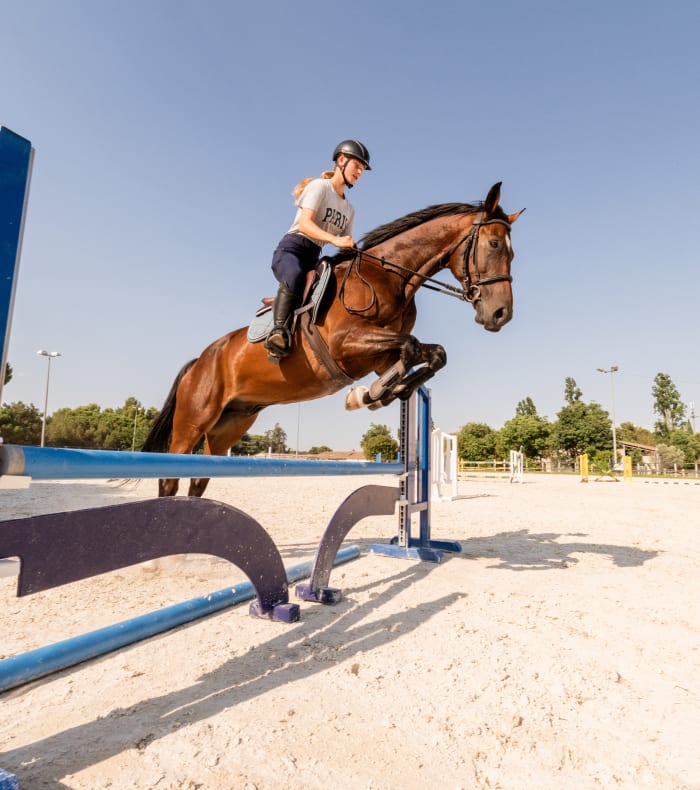 Entrainement cross
