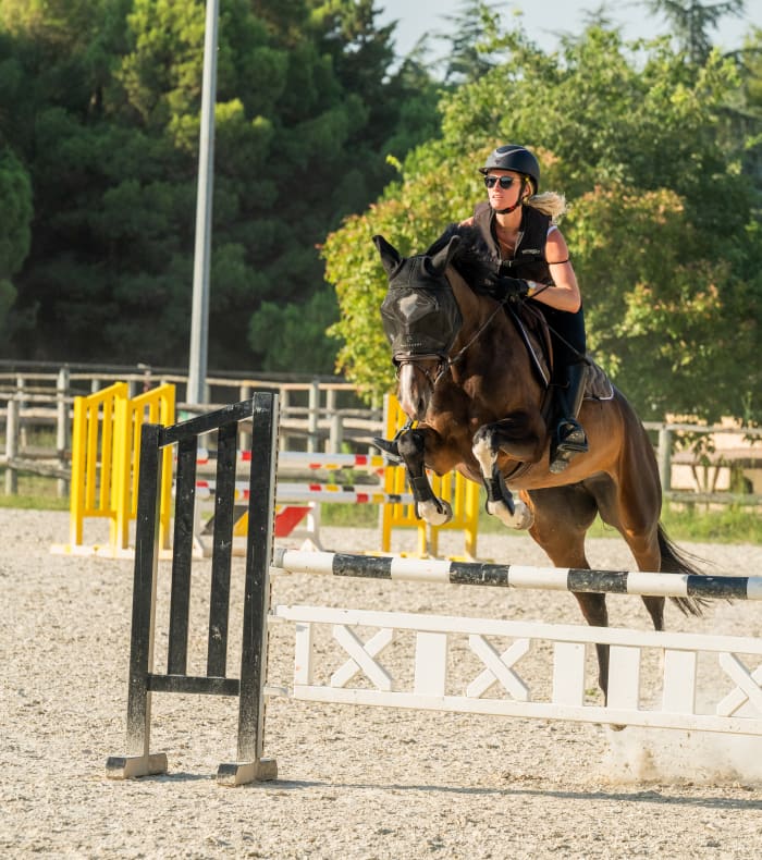 Coaching concours amateur interne