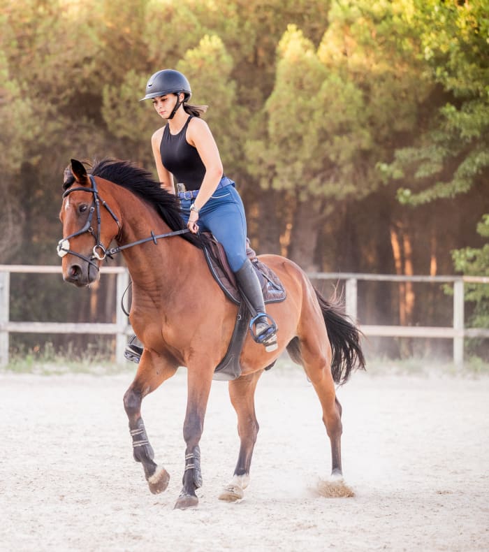 Stage 2 jours encadré par un Cavalier Professionnel