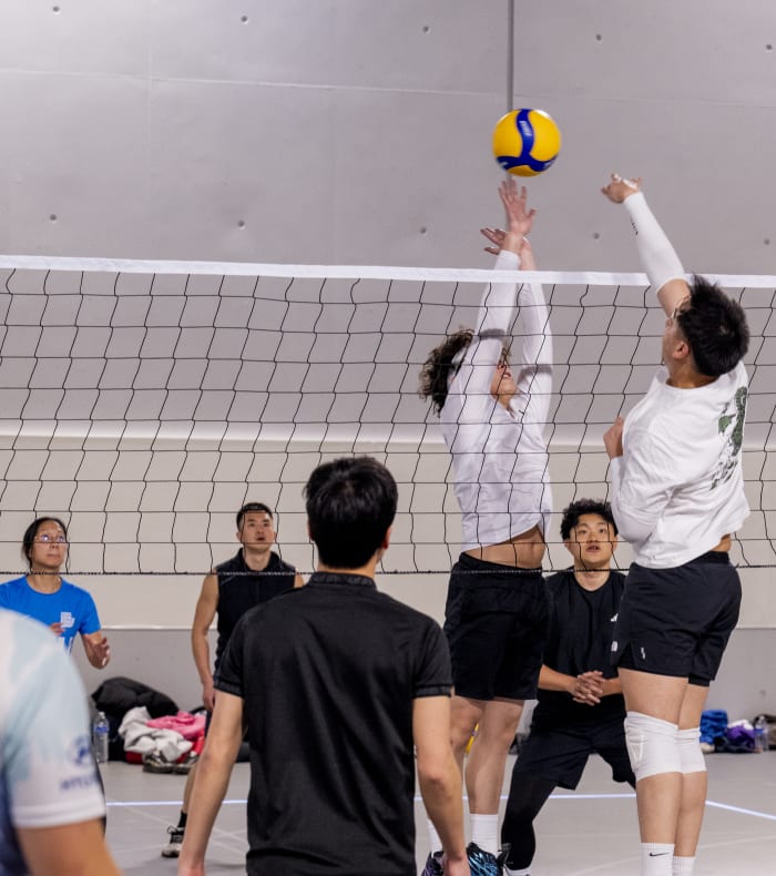 Terrain de Volley