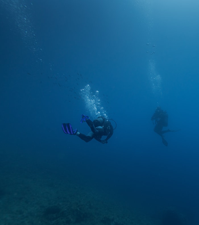 Sejours Plongee Vacances Sportives Avec L Ucpa