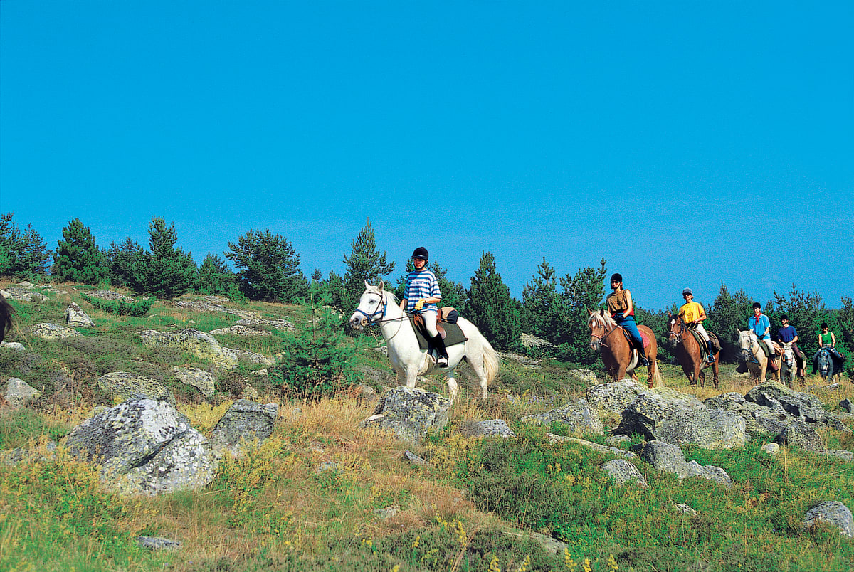 Ryttereventyr på Mont Lozère