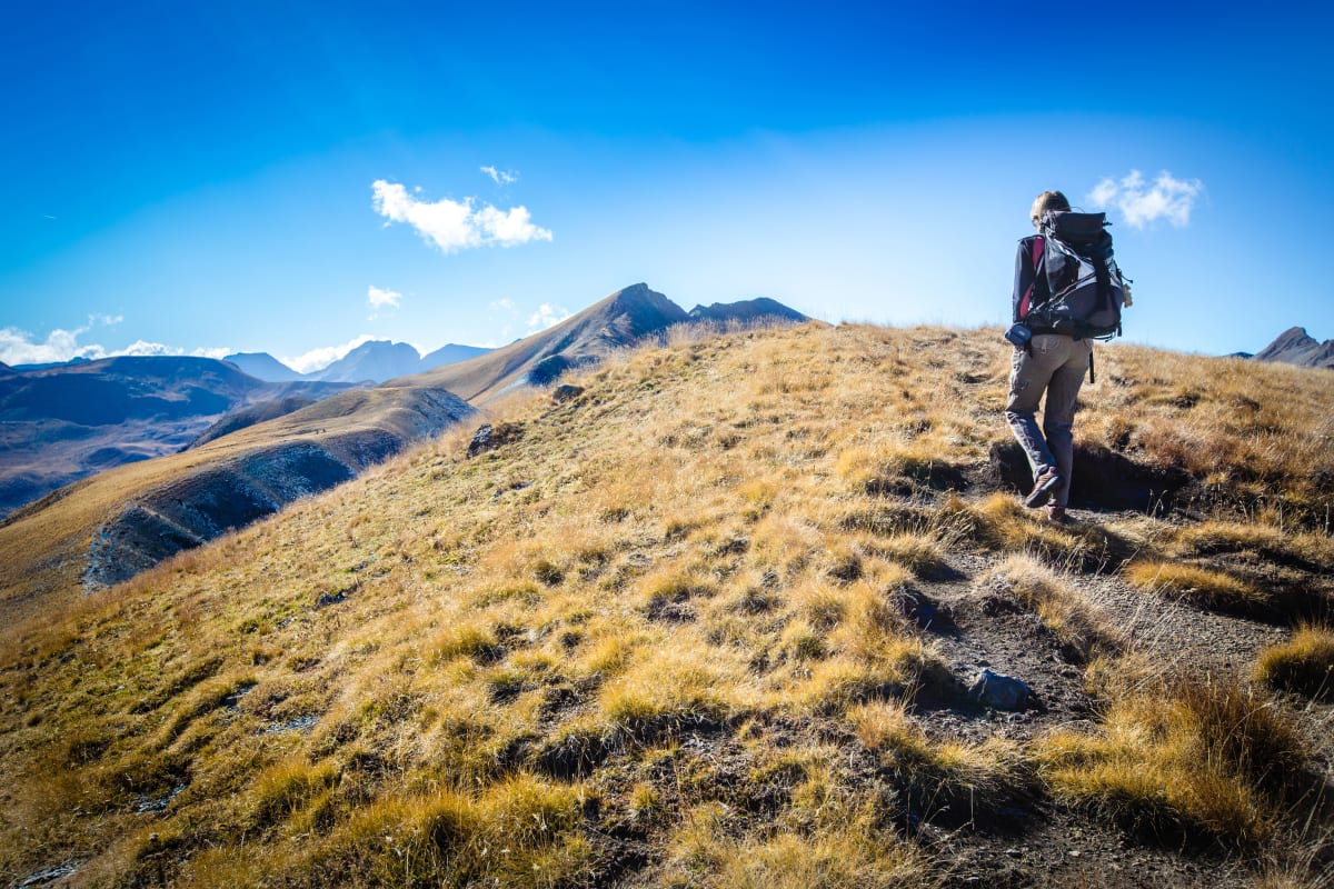 De smukkeste stier i Mercantour