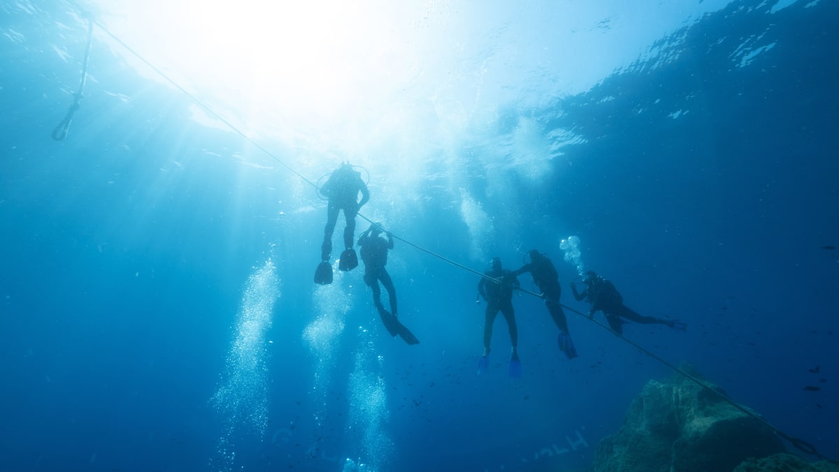Plongée exploration aux Saintes 14 jours